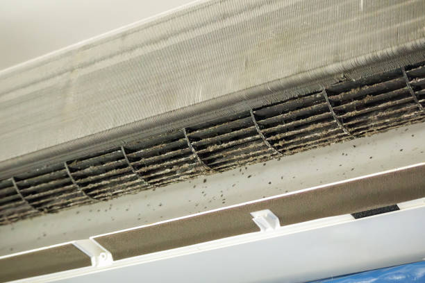 Best Affordable Air Duct Cleaning  in Llano, TX